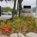 백운의 휴일 이미지