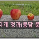 무지개청과 - 용인시 처인구 동부로 513 | 무지개청과