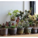 청솔공인중개사사무소 이미지