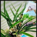 뜰아래플라워 이미지