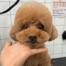 더이쁜멍살롱
