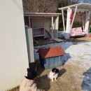 하늘다음펜션 이미지