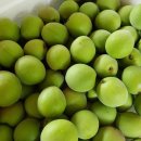 매실사랑펜션 이미지