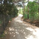 홍릉초교 이미지