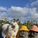 엔젤하우스 이미지