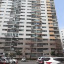 사파동310 이미지