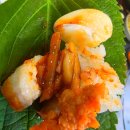 바다장어 | 광주 금호동 붕장어 맛집 어촌바다장어