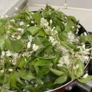 산림마트