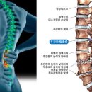 더디스크 이미지