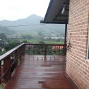 전원사슴농장 이미지