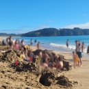 [뉴질랜드 뚜벅이 여행] 오클랜드_코로만델 반도 프라이빗 투어_&lt;핫워터비치, 캐세드럴코브,타이루아...