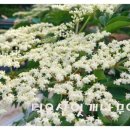 진두루농장 이미지