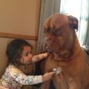 두자매PC 이미지