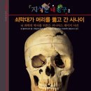 품걸별마당 | [별마당 강연후기] AI는 도달할 수 없는 영역 완벽한 기계는 모르는 불완전함 인간다움 가치 코엑스...