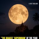 P.T Park | 🐘태국 치앙마이 코끼리 보호센터_일주일 자원봉사 후기ENP(Elephant Nature Park) 3일차-수요일