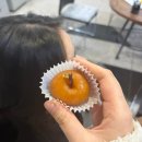 조하상점 | 25년의 끝 12월❄️!!