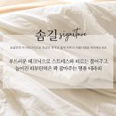 솜 에스테틱 이미지