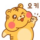 내린천펜션계곡사랑 이미지