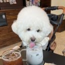 카페 니즈 이미지