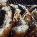 불수성풍천장어 이미지