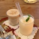 냥이랑 | 강릉 봄 카페 다녀온 후기｜명주동 감성 + 귀여운 냥이들이 있는 곳