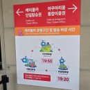 144 | 사천바다케이블카 빅5 금액 후기 사천 아라마루 동물원 경남 사천 삼천포 여행