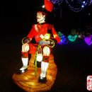 <계룡> 군문화 축제-----계룡시청앞 동산의 유등행렬 이미지