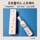 더프레스코 | 호주여행선물 프로폴리스 구강스프레이 사용후기