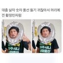 [일상] 대충나무 사람걸렸네