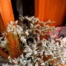 김남주헤어샵 이미지