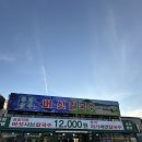 [용인 신갈동 맛집] 버섯이 무한리필인 청년농부 버섯칼국수 후기