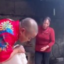 모전자전 이미지