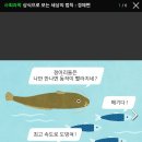 '메기효과 '(Catfish effect)를 생각한다 이미지