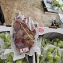 인영농장 이미지