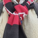 부천종합운동장 | 부천FC1995 vs 울산HD 직관 후기｜부천종합운동장 홈경기 관람