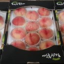 도향축산 이미지