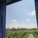 증평대반점 이미지