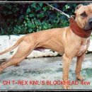 메이데이 이미지