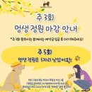 멍더캐슬 이미지