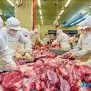 동해-단속-25 이미지