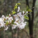 파미힐스 컨트리클럽 이미지