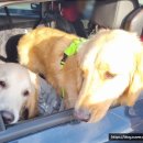 낙원식육점 이미지