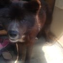 검단산로 이미지