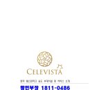 셀러비스타 이미지