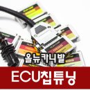 뉴 월드사 네이버블로그