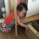 율이베베 네이버블로그