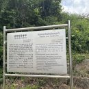 원동향약 이미지