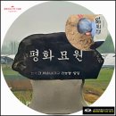 염쟁이강씨의 묘역 현장 답사 / 어제 오후 일상 탈출기...(신나는 쏘가리 낚시 세 번째 도전기...)