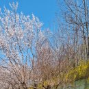 부산진구 사회복지관어린이집 이미지