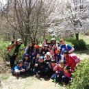 서산 대진초 어린이들과 함께 한 [신나는숲길여행]-4월12일 이미지